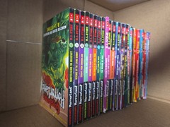 Goosebumps books (Lot)