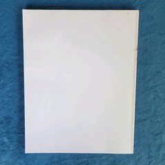 INDUSTRIAL MAINTENANCE COATINGS GLOSSARY ; ISBN 0-938477-89-7 ; 125 PAGES