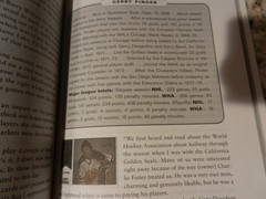 BIG BUCKS & BLUE PUCKS 1997 book WORLD HOCKY ASSOCIATION Murray Greig WHA