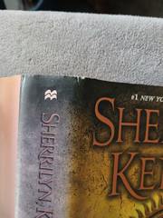 Time Untime (Dark-Hunter Novels) Sherrilyn Kenyon- Very Good 1st Edition HCw/DJ