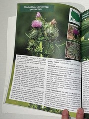 The Forager’s Guide to Wild Foods Book By Nicole Apelian, 2021 North American Ed