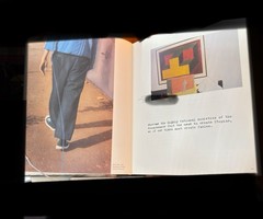 Francis Alÿs The Prophet and the Fly Text by Catherine Lampert