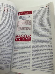 Faithgirlz! Bible by Zondervan Staff and Nancy Rue (2012, Leather)