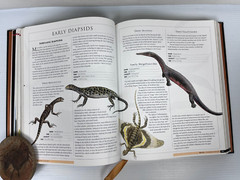 RARE „The Illustrated Encyclopedia of the Prehistoric World” 512 Pgs 9 X 11.5″