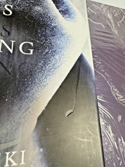 Tom’s Crossing: A Novel by Mark Z. Danielewski 2025 HC SIGNED 1st w/Art Print