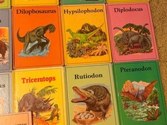 Dinosaur Library Series Lot of 25Vintage 1980s Hardcover Books Rourke VGC READ