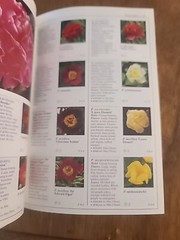 Eyewitness Garden Handbooks Perennials by David Joyce and Deni Bown 1997