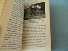 Vintage BOOK CLIMBING THE MANGO TREES MADHUR JAFFREY Paperback Ebury Press 2005