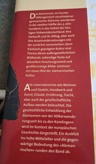 Die Alamannen: Krieger – Siedler – frühe Christen (Gebundene Ausgabe 2007)
