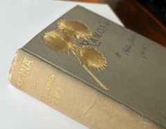 Ramona by Helen Jackson (H.H.) Early Edition 1890 Gold Leaf Cover, used rare