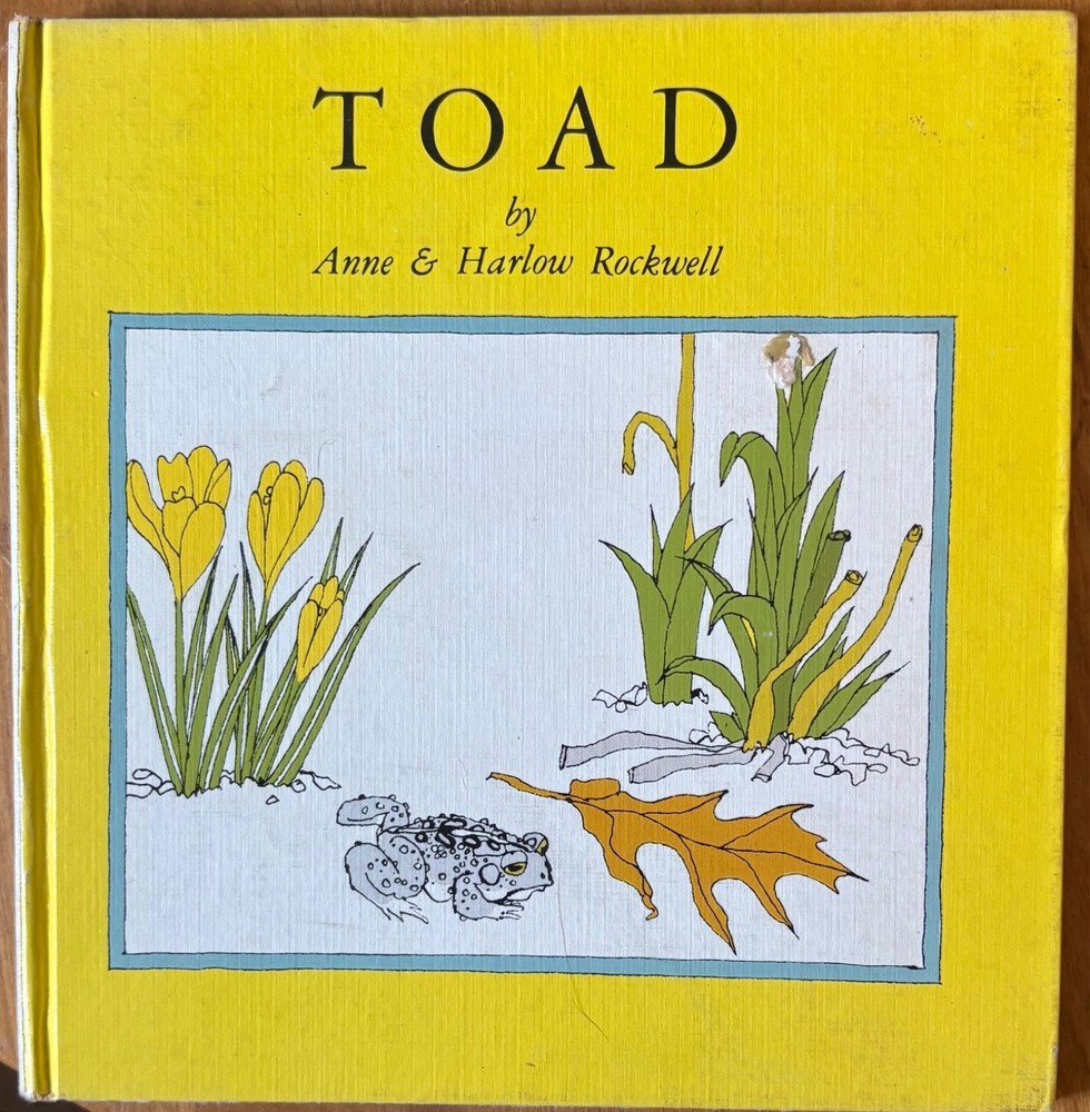 Toad by Anne Rockwell illustrated by Harlow Rockwell – Hardcover First Edition