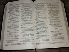 NIV Thinline Bible New International Version 1996 Zondervan Bonded Leather Bound