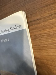 Rinko Kawauchi Illuminance, Ametsuchi, Seeing Shadow
