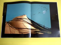 Erotic photo album I am a woman I am a blade of grass I am dew 2005 V. Pilipyuk