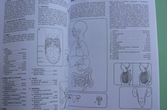 Dover HUMAN ANATOMY Coloring Book,Ziemian/Matt, ALL CLEAN! 44-pages