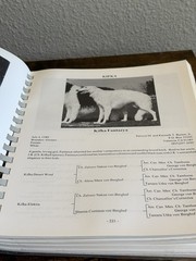 Borzoi Club Of America 1995 Yearbook BCOA Vintage Sprial Bound