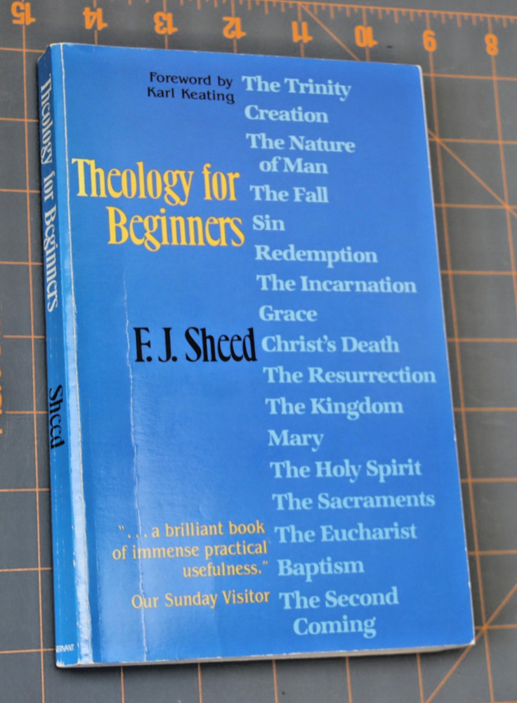 Theology for Beginners by E.J. Sheed 1981 paperback Good 190 pages