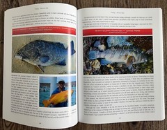 „FISHING … MEXICAN STYLE” by Jeff Klassen 270 Pages Softcover/Hardcover Mexico