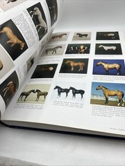 Breyer Molds & Models: Horses, Riders, & Animals 1950-1997 – HC – VERY GOOD B7-2