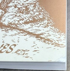 Descriptions of Tennessee Caves by Larry Matthews 2000 SC Dept of Env & Cons G