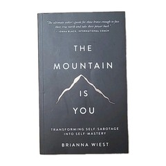 The Mountain Is You: Transforming Self-Sabotage Into Self-Mastery Paperback