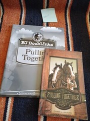 BJU Book Links Pulling Together By Watkins Bob Jones with Booklinks