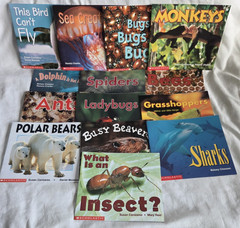 Lot of 14 Scholastic Science Emergent Readers Time to Discover Books Homeschool