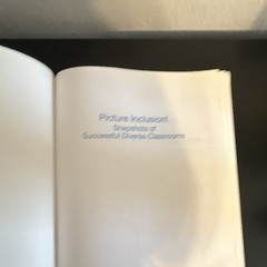 Picture Inclusion! Paperback Textbook Brookes Publishing Inclusive Education