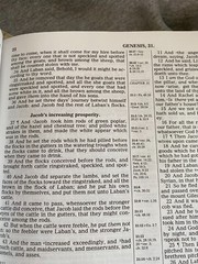 Heirloom Family Holy Bible KJV Red Letter Morrison Funeral Home Tuscumbia 5+ lbs