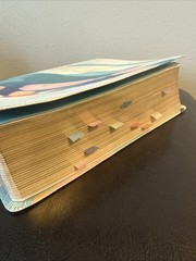Jesus Bible NIV Edition [Multi-Colour/Teal] by Zondervan (2019, Imitation…