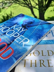(16) Kay Hooper Novels – 9 Hardcover DJ & 7 Paperbacks (4 Bishop Files Novels)