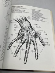 Vintage Drawing Dynamic Hands Burne Hogarth Hardcover Orange 1st 1977 DJ