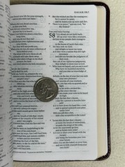 Holy Bible : ESV Compact Bible TruTone, Brown, Red Letter Edition