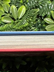 BAGS: A Lexicon of Style Bag Design & Usage Visual Guide Fashion Book
