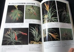 NEW TILLANDSIA HANDBOOK Shimizu-Takizawa 1998 Air Plants Japanese-English SCARCE
