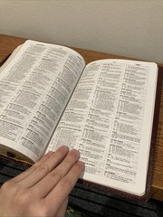 1984 NIV Study Bible: 10th Anniversary Edition Bonded Leather (1995, Zondervan)