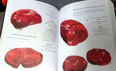 Book The Connoisseurs Guide to Meat Jenne Wilson 255 pages