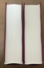 The Second Coming of Christ: The Resurrection of the Christ Within You 2 Vols