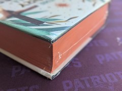 The Story of All Stories: A Story Bible for Young Catholics by Stimpson Chapman
