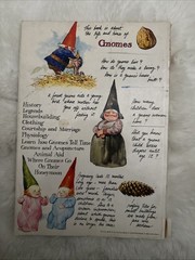 First Printing Gnomes by Wil Huygen Illustrator Rien Poortvliet 1977