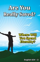 BIBLE, Gospel Tracts(KJV), 40 PACK in 4 Covers,12 Pages Each