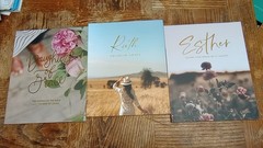 The Daily Grace Co. Devotional Bible study Lot: Ruth, Esther, Women of the Bible