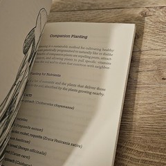Shamanic Gardening Book – Timeless Techniques Sustainable Melinda Joy Miller