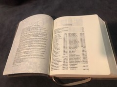 One Year Nlt New Living Translation Expressions Bible Brown Leather Journaling