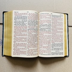 🔥1990, Nelson Regency Holy Bible King James Version Giant Print Red Letter