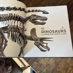 Dinosaurs and Prehistoric Life: The Definitive Visual – Hardcover, by DK – VG
