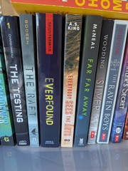 Lot of 27 Chapter Books for BOYS Young Adults Children RANDOM