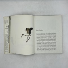 James Fisher & Roger Tory Peterson’s WORLD OF BIRDS Revised HC Cream DJ 192
