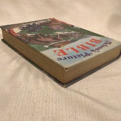 Nelson’s Picture Bible J. F. Allen 1973 Hardcover Children Religious Education