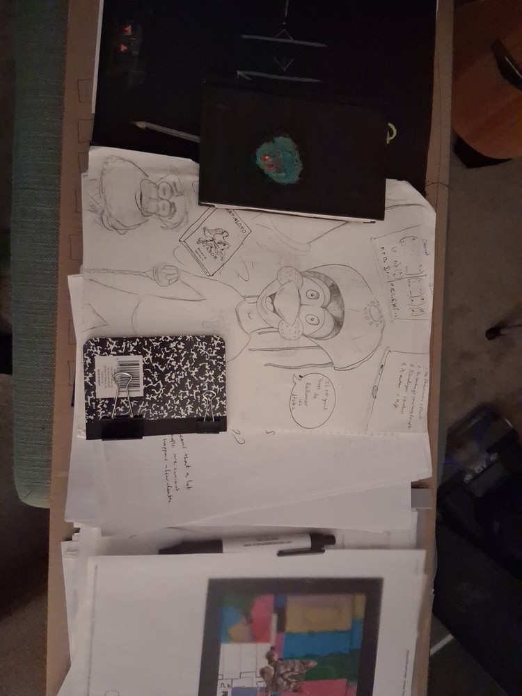 Private Curation Collection Documents Random Drawings Writings Radio Pen Unique